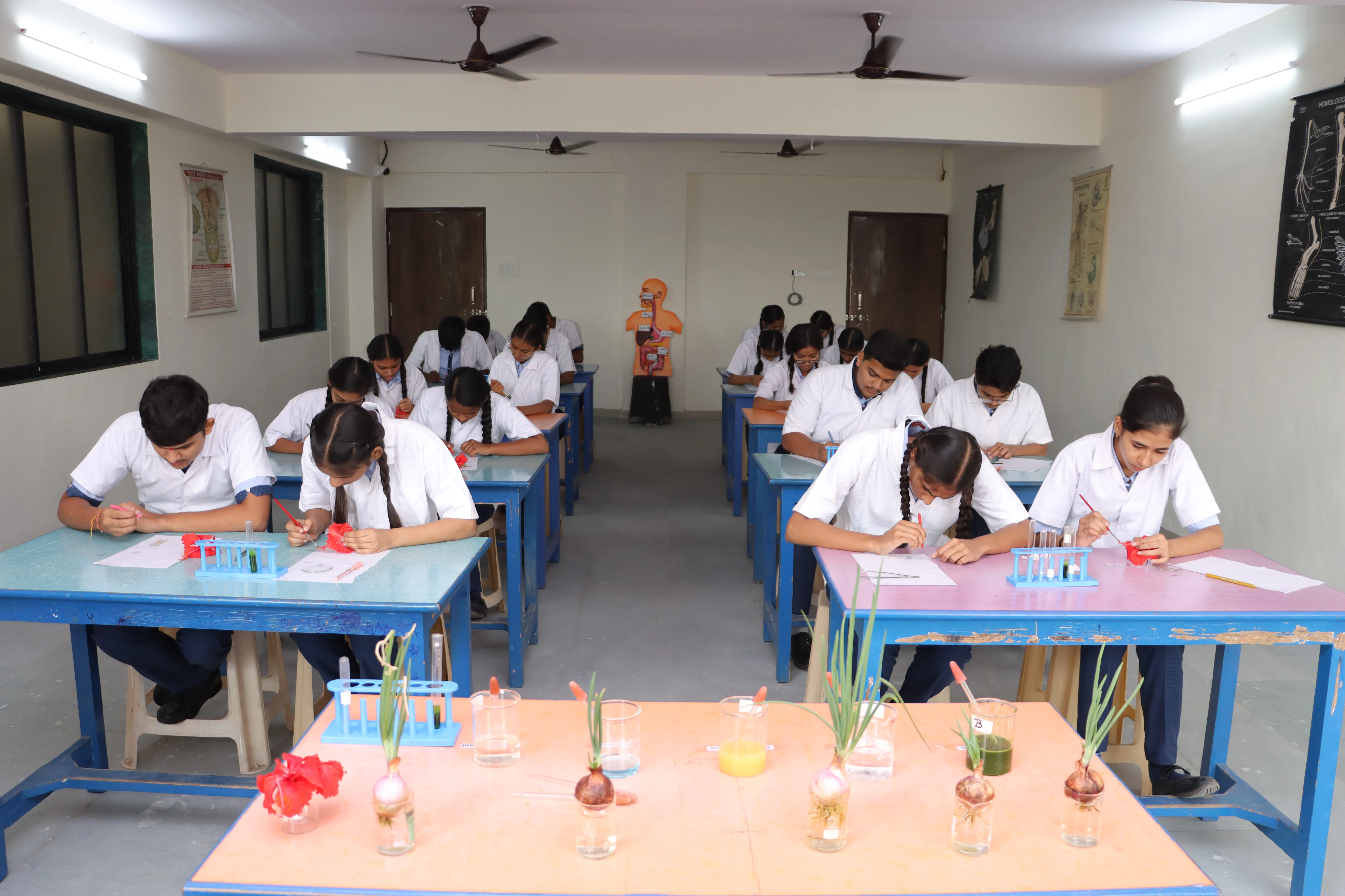 School Gallery Image