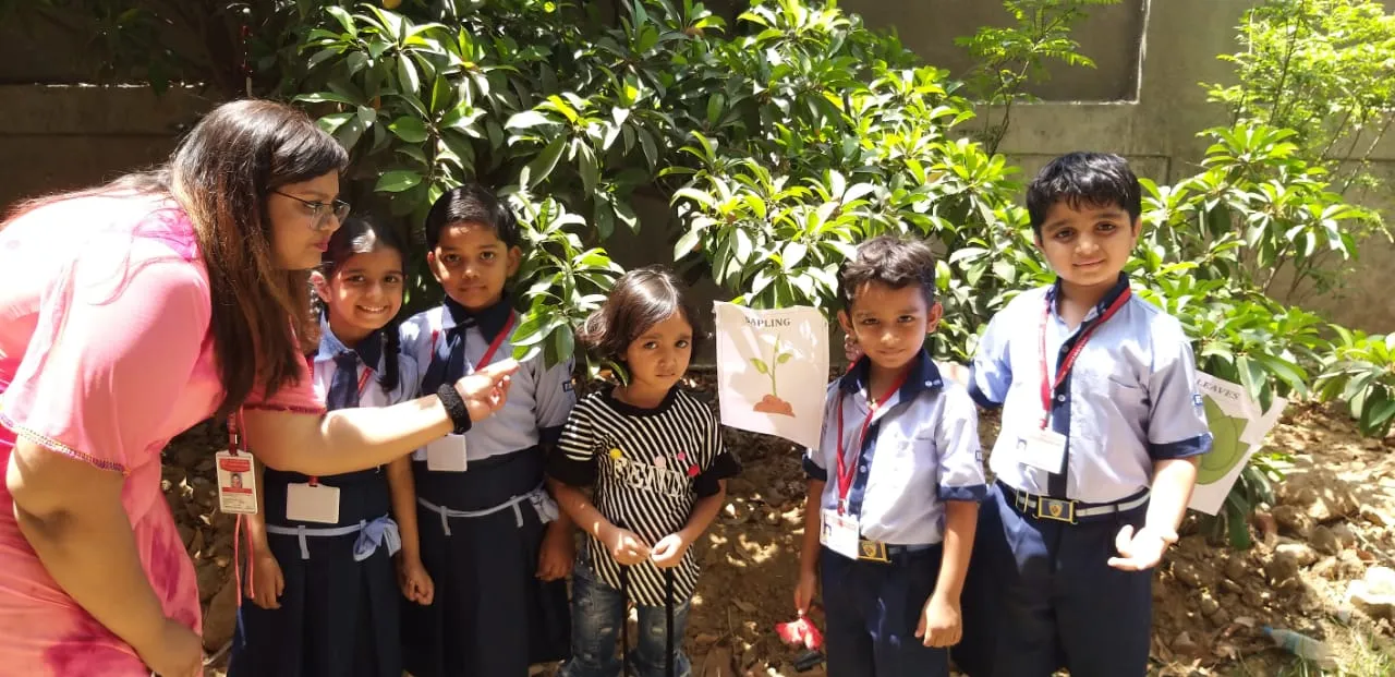 School Gallery Image