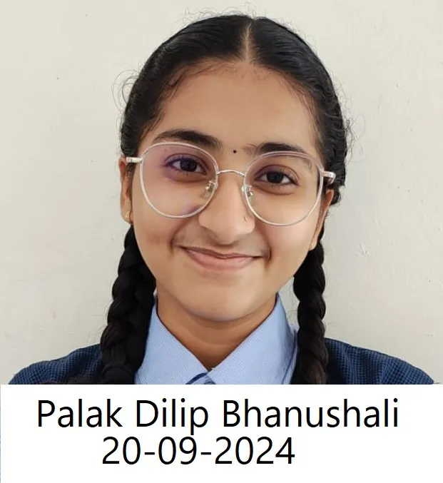 PALAK DILIP BHANUSHALI (COMMERCE)